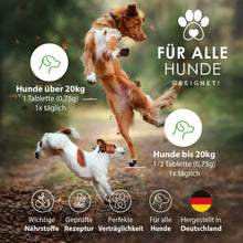 Lade das Bild in den Galerie-Viewer, 1 Jahr Vorratspack - TreuePfote Gelenktabletten für Hunde Gelenkliebe+
