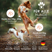 Lade das Bild in den Galerie-Viewer, TreuePfote Vitamin B Komplex +