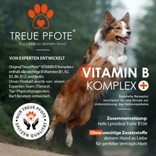 Lade das Bild in den Galerie-Viewer, TreuePfote Vitamin B Komplex +
