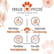 Lade das Bild in den Galerie-Viewer, TreuePfote Vitamin B Komplex +
