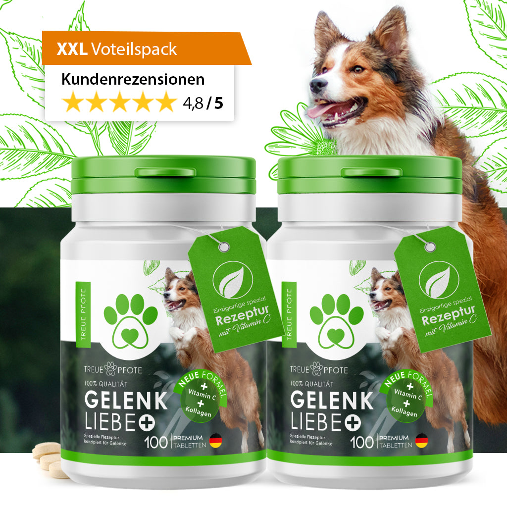 XL Vorteilspack - TreuePfote Gelenktabletten für Hunde Gelenkliebe+